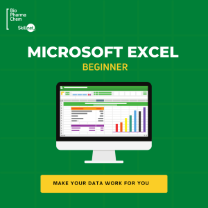 Digital Literacy: MS Excel for Beginners